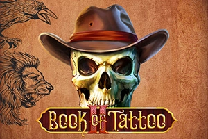 Арт слота Book Of Tattoo 2
